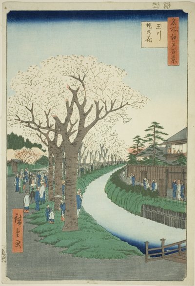 Blossoms on the Tama River Embankment, from the series 