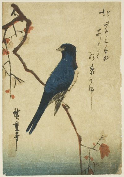 Blue Bird on Maple Branch by Utagawa Hiroshige