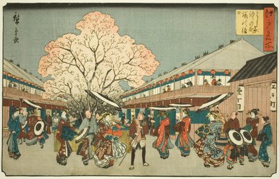 Cherry Blossom Day on the Nakanocho of the Yoshiwara, from the series 