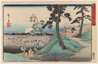 Enjoying the Insect at Dokanzana in Moon Night, from the View of Edo series by Utagawa Hiroshige