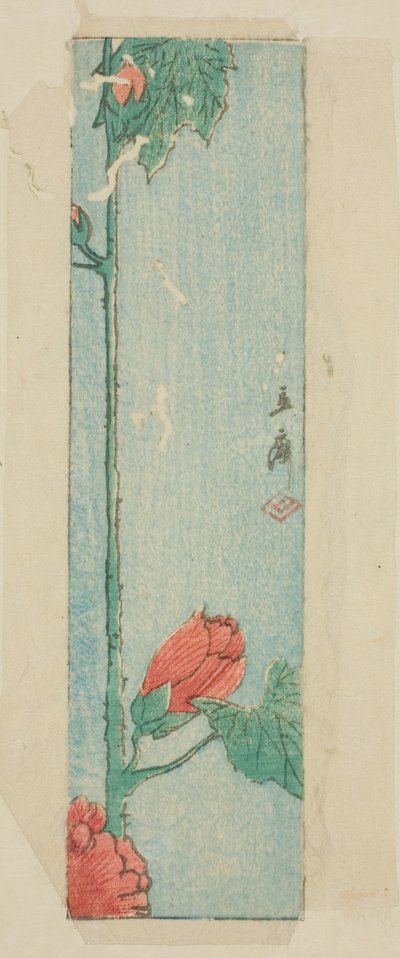 Envelope with Hibiscus by Utagawa Hiroshige