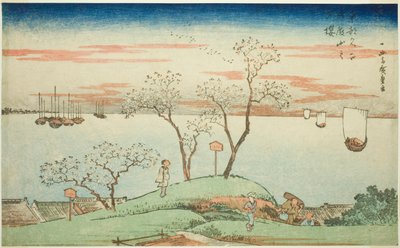 Evening Cherry Blossoms at Goten Hill, from the series 