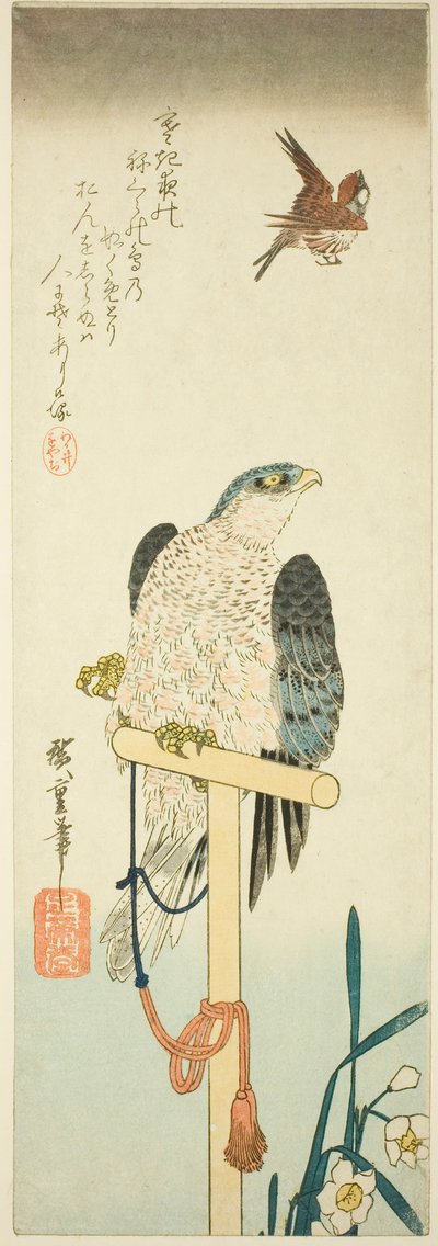 Falcon, Sparrow, and Narcissus by Utagawa Hiroshige