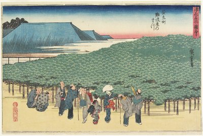 Giant Pine of Naniwaya in Anryu-machi by Utagawa Hiroshige
