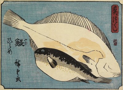 Globefish and Flounder, 1830-1844 by Utagawa Hiroshige