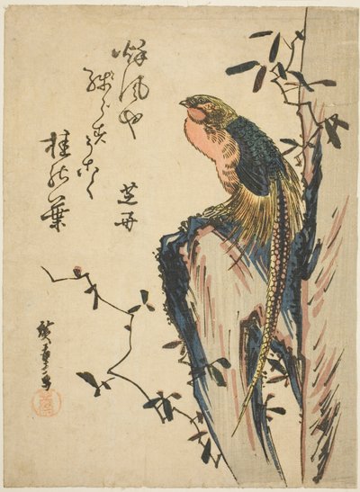 Golden Pheasant by Utagawa Hiroshige