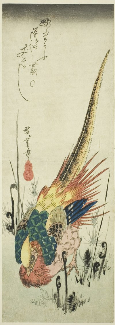 Golden Pheasant and Bracken Ferns by Utagawa Hiroshige