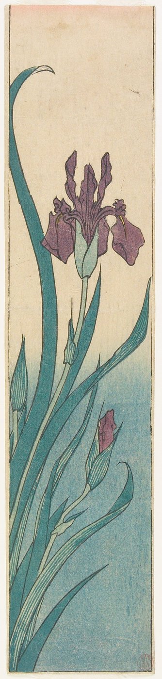 Iris by Utagawa Hiroshige