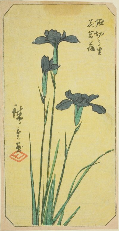 Iris at Horikiri Village, section of a sheet from the series 