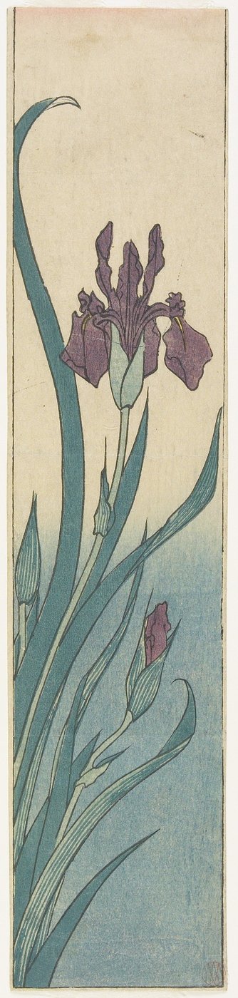 Iris by Utagawa Hiroshige