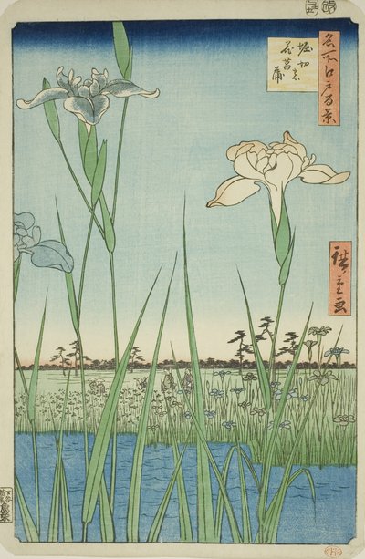 Irises at Horikiri, from the series 