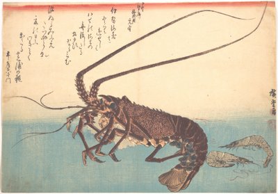 Ise-ebi and Shiba-ebi, from the Series Uozukushi (Every Variety of Fish) by Utagawa Hiroshige