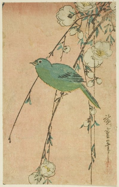 Japanese White-Eye and Weeping Cherry by Utagawa Hiroshige