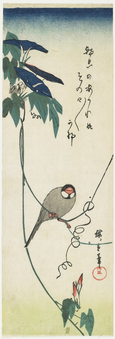 Java Sparrow and Morning Glories by Utagawa Hiroshige