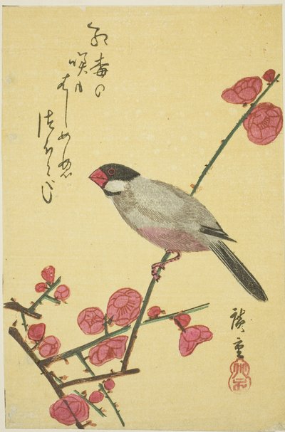 Java Sparrow on Plum Branch by Utagawa Hiroshige