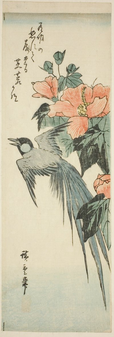 Long-tailed Bird and Hibiscus by Utagawa Hiroshige