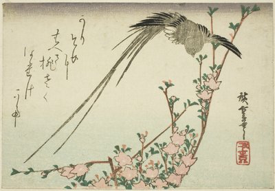 Long-tailed Bird and Peach Blossoms by Utagawa Hiroshige
