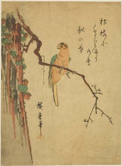 Macaw on Ivy-covered Tree by Utagawa Hiroshige