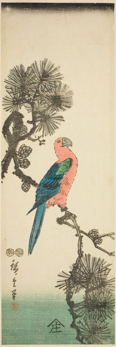 Macaw on Pine Branch by Utagawa Hiroshige