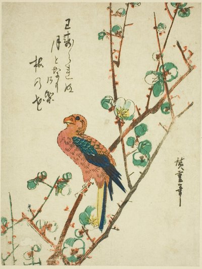 Parrot on Plum Tree by Utagawa Hiroshige