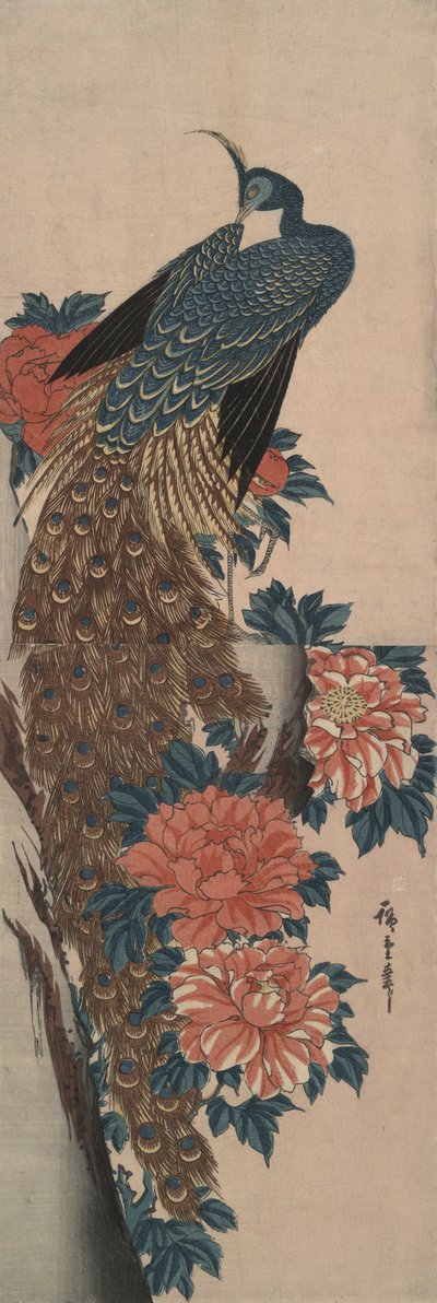 Peacock and Peonies by Utagawa Hiroshige