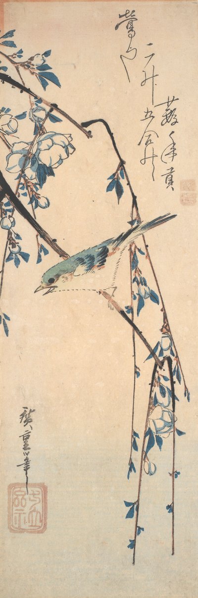 Red-Flanked Bluetail on a Cherry Branch by Utagawa Hiroshige