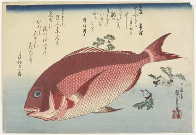 Sea Bream and Sansho Sprigs, c.1832 by Utagawa Hiroshige