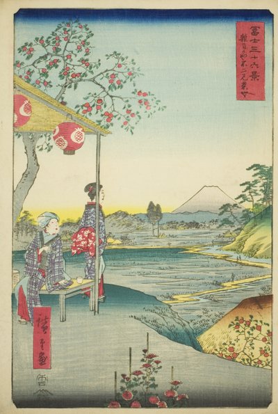 View of Mount Fuji from a Teahouse at Zoshigaya, from the series "Thirty-six Views of Mount Fuji" by Utagawa Hiroshige