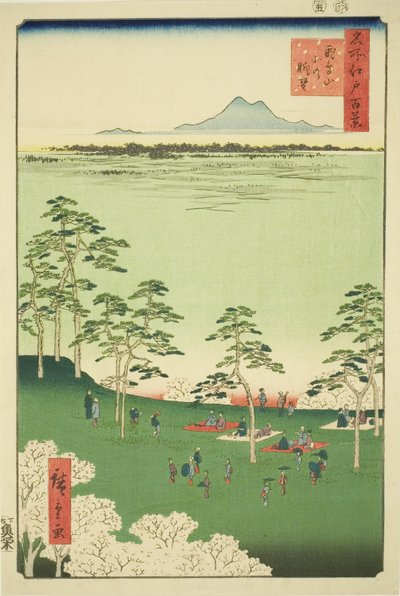 View to the North from Asuka Hill, from the series 