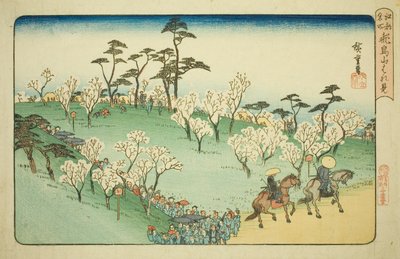 Viewing Cherry Blossoms at Asuka Hill, from the series "Famous Places in Edo" by Utagawa Hiroshige