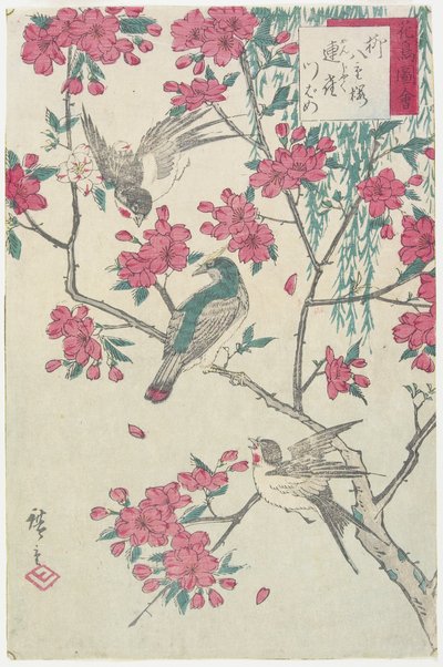 Willow, Cherry Blossoms, Sparrows and Swallow by Utagawa Hiroshige