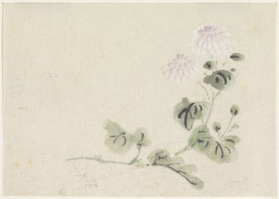 Purple-White Chrysanthemums by Utagawa Kuniyoshi