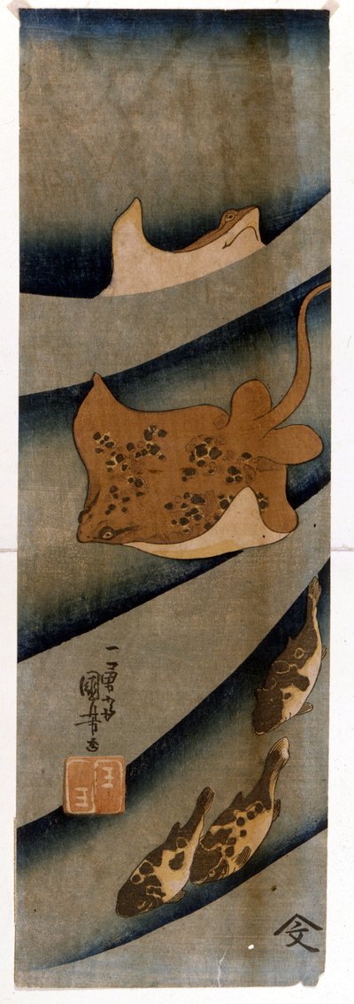 Prints by Utagawa Kuniyoshi (1797-1861) depicting the fish. by Utagawa Kuniyoshi