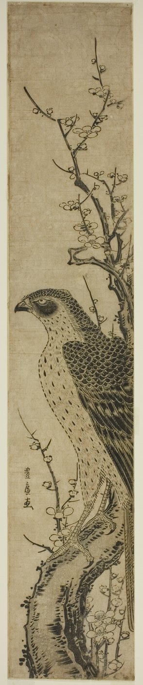 Hawk on a Cherry Tree by Utagawa Toyohiro