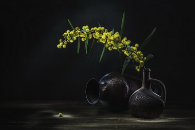 Yellow Mimosa Still Life by Vadim Kulinsky