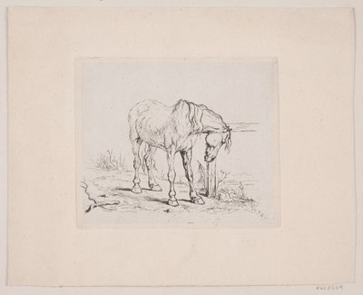 An Old Horse by Valdemar Irminger