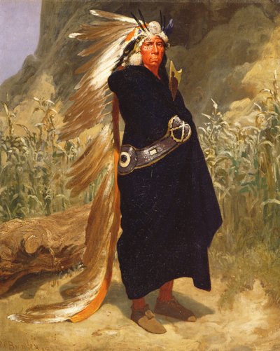 Portrait of an Indian Chief by Valentine Walter Lewis Bromley