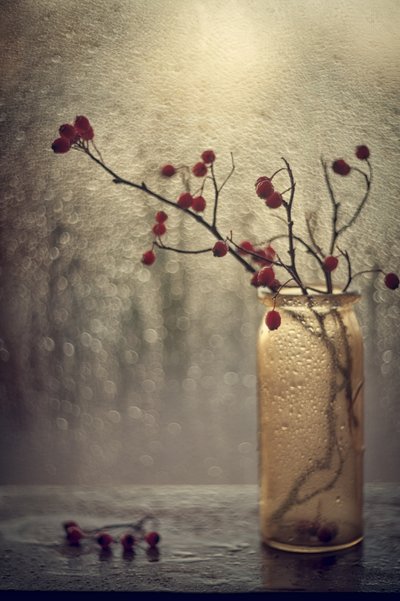 Berries by Rainy Window by Valeriya Tikhonova