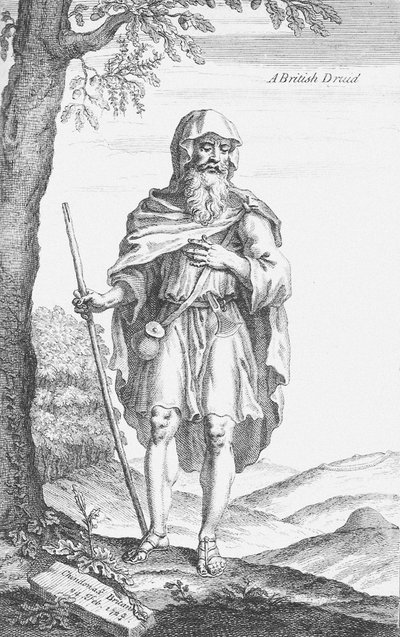 A British Druid from Stonehenge by Van Der Gucht