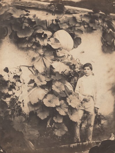 Boy with a Pumpkin Vine by Varin Frères