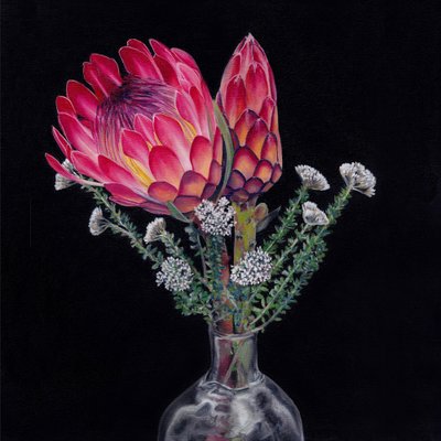 King Protea Bouquet by Viccy Wanliss