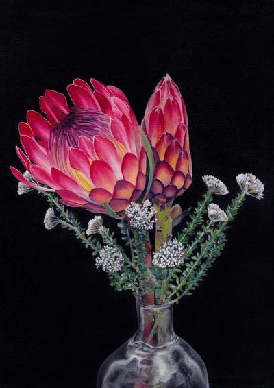 Protea and Blombos By Viccy Wanliss by Viccy Wanliss