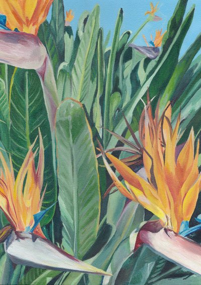 Vibrant Bird Of Paradise by Viccy Wanliss