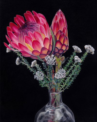 Vibrant Protea Blooms by Viccy Wanliss