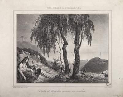 The shadow of Napoleon visiting his tomb, view of Saint Helena by Victor Adam