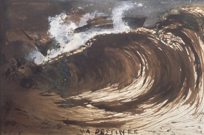 My Destiny by Victor Hugo