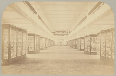 Pl. III. Principal Story: Birds by Victor Prevost, Gaston L. Feuardent and Co., New York