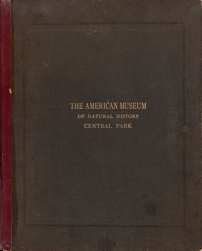 The Photographic Album of the American Museum of Natural History, Central Park, New York City by Victor Prevost, Gaston L. Feuardent and Co., New York