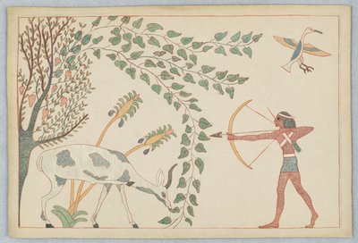 The Deer and the Vine, Illustration for Aesop
