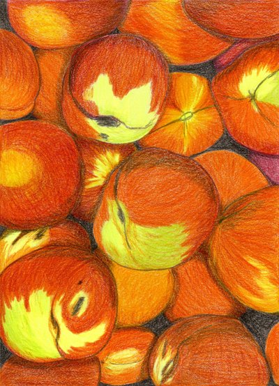 Vibrant Fresh Peaches by Viktoriia Saunina